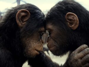 Read more about the article Kingdom of the Planet of the Apes review – stop, I want to get off!
